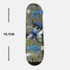 Skateboards  Athlopaidia ΤΡΟΧΟΣΑΝΙΔΑ Big Willy (3005501958_38583)
