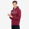 Ανδρικά Hoodies  Champion Fleece Script Logo Print Cotton Terry Ανδρικό Φούτερ (9000082572_54065)