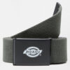 Ανδρικές Ζώνες Dickies Orcutt Webbing Ανδρική Ζώνη (9000073109_51470)