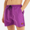 Ανδρικά Μαγιό  Ellesse Dem Slackers Ανδρικό Μαγιό (9000076400_3149)