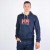 Ανδρικά Hoodies  Helly Hansen Logo Hoodie (9000042229_1629)