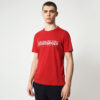 Ανδρικά T-shirts Napapijri Sallar Ανδρικό T-Shirt (9000072362_2075)