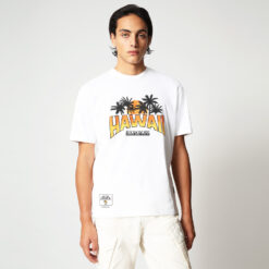 Ανδρικά T-shirts  Napapijri Sirre Ανδρικό T-Shirt (9000072382_51269)