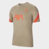 Ανδρικά T-shirts Nike Lfc Mnk Df Strk Top Ss (9000080980_53595)