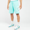 Ανδρικές Βερμούδες Σορτς Nike Sportswear Ανδρικό Σορτς (9000076824_52335)