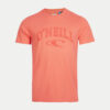 Ανδρικά T-shirts O’Neill State Ανδρικό T-Shirt (9000079388_53067)