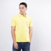 Ανδρικά Polo Polo Ralph Lauren Classic Fit Mesh Ανδρικό Polo T-shirt (9000075877_32311)