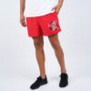 Ανδρικά Μαγιό  Puma Ess+ Summer Shorts Graphic (9000047596_6135)