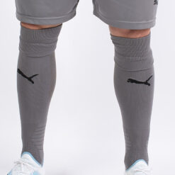 Ανδρικές Κάλτσες  Puma Liga Socks (9000041461_42120)
