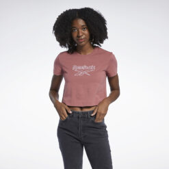 Γυναικείες Μπλούζες Κοντό Μανίκι  Reebok Classics Foundation Big Logo Γυναικεία Μπλούζα (9000069282_50202)