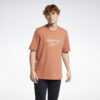 Ανδρικά T-shirts  Reebok Classics Vector Ανδρικό T-shirt (9000069295_50194)
