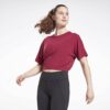Γυναικείες Μπλούζες Κοντό Μανίκι Reebok Sport Activchill Γυναικείο T-Shirt (9000083686_54244)