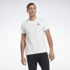 Ανδρικά T-shirts Reebok Sport Identity Ανδρικό T-Shirt (9000083583_1539)