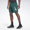 Ανδρικές Βερμούδες Σορτς  Reebok Sport Workout Ready Graphic Ανδρικό Σορτς (9000069224_50198)