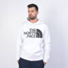 Ανδρικά Hoodies THE NORTH FACE Ανδρική Μπλούζα με Κουκούλα (9000036723_12039)