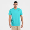 Ανδρικά T-shirts  THE NORTH FACE Ανδρικό T-Shirt (9000101575_32986)