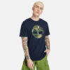 Ανδρικά T-shirts Timberland FT Tree Ανδρικό T-shirt (9000073656_2801)