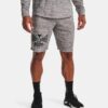 Ανδρικές Βερμούδες Σορτς  Under Armour Project Rock Terry Iron Ανδρικό Σορτς (9000102593_47094)