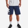 Ανδρικές Βερμούδες Σορτς  Under Armour Rival Flc Big Logo Shorts (9000087380_55237)