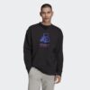 Ανδρικά Φούτερ  adidas Originals Adventure Big Logo Crew Ανδρικό Φούτερ (9000084373_1469)