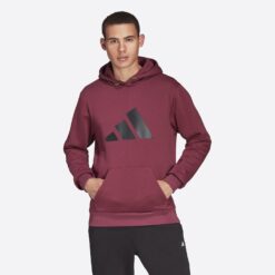 Ανδρικά Hoodies  adidas Performance Future Icons Winterized Ανδρική Μπλούζα με Κουκούλα (9000084467_54526)