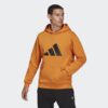 Ανδρικά Hoodies  adidas Performance Sportswear Future Icons Ανδρική Μπλούζα με Κουκούλα (9000084468_54534)