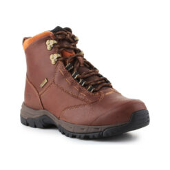 Γυναικείες Μπότες  Μπότες Ariat Berwick lace GTX Insulated 10016298 Δέρμα