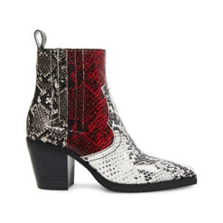 Γυναικείες Μπότες  Μπότες Steve Madden SMSGENIVA-BRGGRY