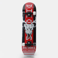 Skateboards  ΤΡΟΧΟΣΑΝΙΔΑ ΣΤΕΝΗ 3Α (3005501959_55431)