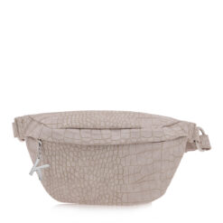 Γυναικείες Τσάντες Μέσης  ΤΣΑΝΤΑ ΜΕΣΗΣ σχέδιο: O604S0029